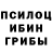Псилоцибиновые грибы прущие грибы Lissia,I AGREE