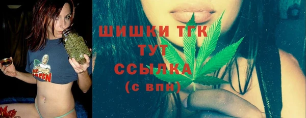 ГАЛЛЮЦИНОГЕННЫЕ ГРИБЫ Баксан
