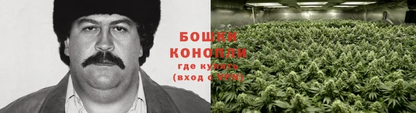 ГАЛЛЮЦИНОГЕННЫЕ ГРИБЫ Баксан