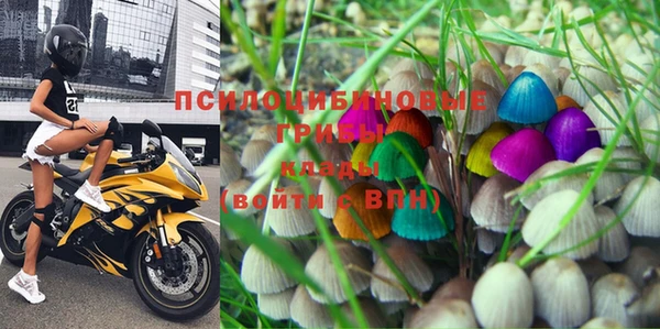 mix Богородицк