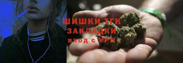ГАЛЛЮЦИНОГЕННЫЕ ГРИБЫ Баксан
