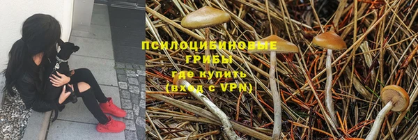 mdpv Богородск