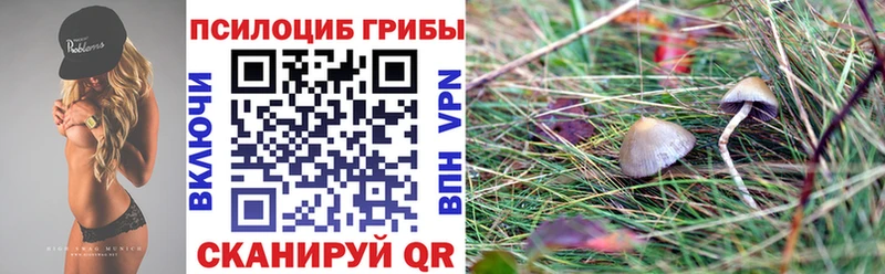 купить наркотики цена  darknet телеграм  Галлюциногенные грибы Magic Shrooms  Обь 